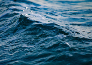Ocean Day
